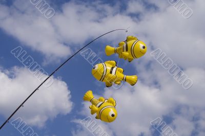 Fishing in the Sky