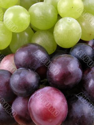 grapes grapes