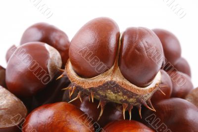chestnuts chestnuts