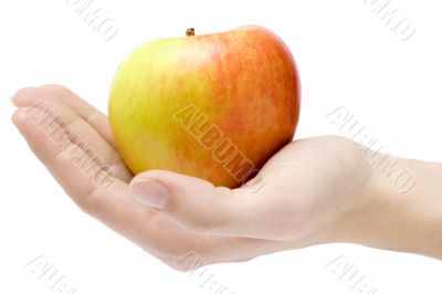 Presenting an Apple