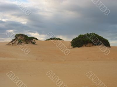 the dune