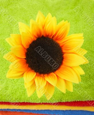 Flower on multicolor towels