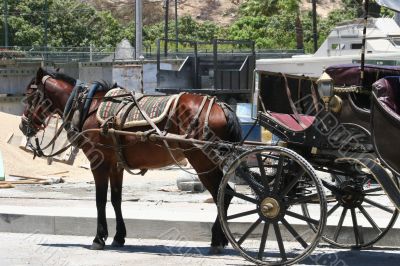 Cabo Carriage