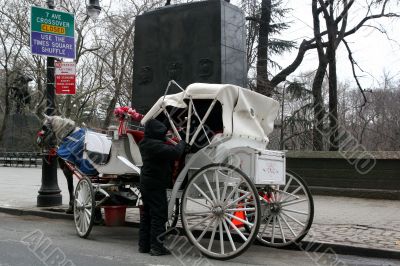 Carriage Driver in Winter