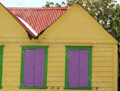 Yellow and Green and Purple