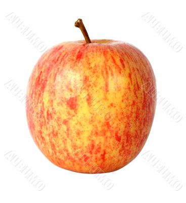 apple in red over white