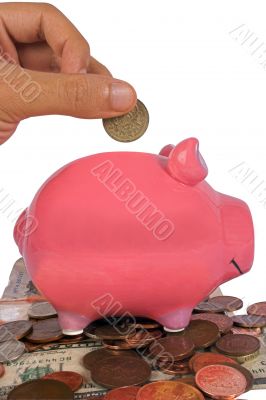 business savings in a piggy bank