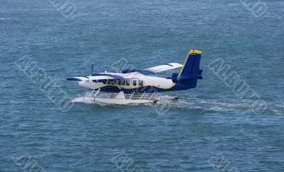 Sea Plane