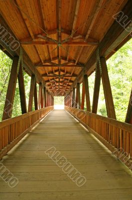 Bridge Into the Light