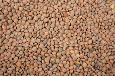 Lentils background