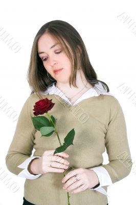 beautiful roses over white