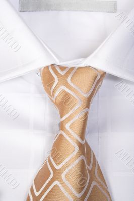 brown business shirt tie