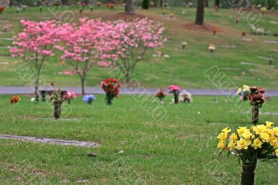 Cemetary Flowers