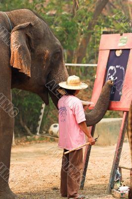 Asian elephant painting