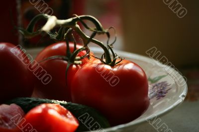 Vegetables for salad