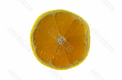 piece of lemon piece of lemon