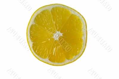 sliced lemon sliced lemon
