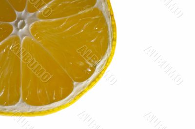 quarter of lemon quarter of lemon