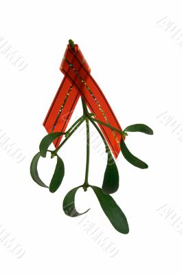 mistletoe twig with a red ribbon