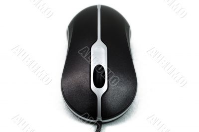Stylish computer mouse