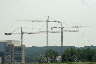 Three Cranes