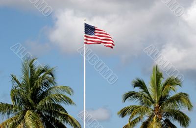 American Tropics