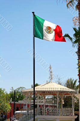 Mexican Flag