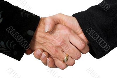 business deal - female hands