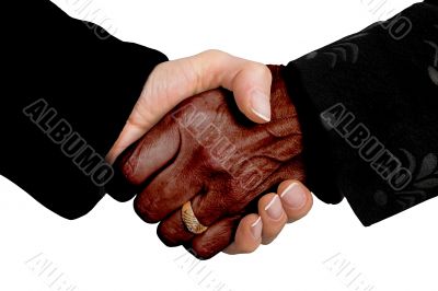 business deal - multiracial