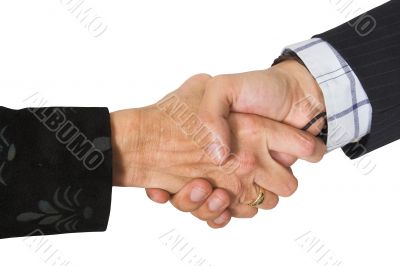 business couple shaking hands