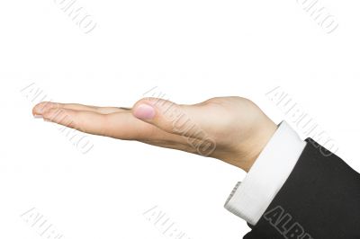 hand of a business woman facing up