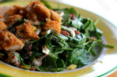 Salad with Chicken