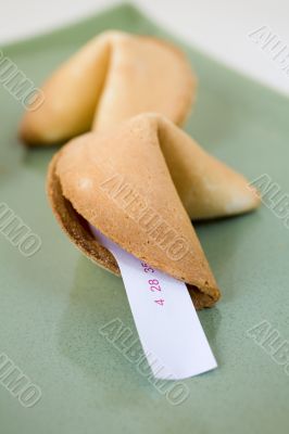 Fortune Cookie
