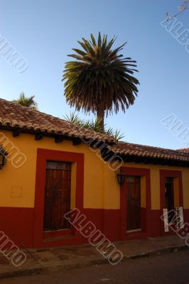 House with Palm House with Palm
