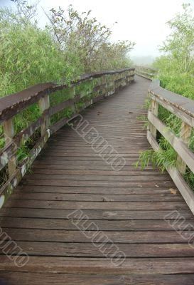 Boardwalk in Anhinga Trail