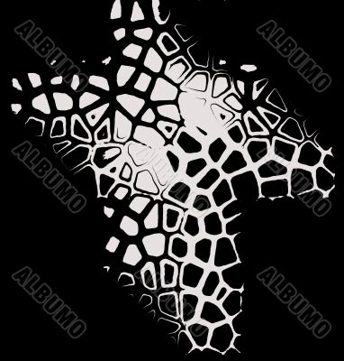 Abstract Butterfly Design