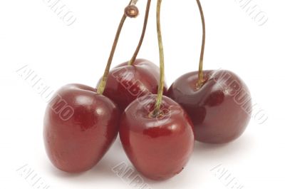 cherries