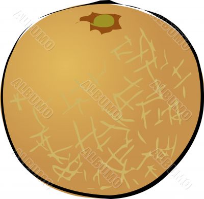 Melon