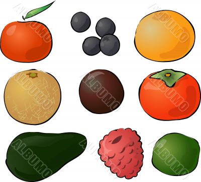 Fruits illustration