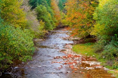 Mountain River