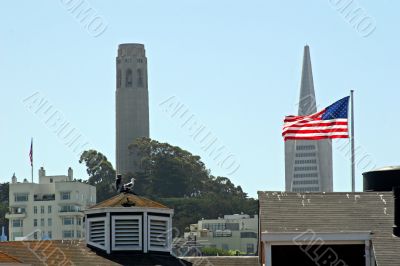 Coit and Transamerica