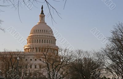 Early Morning Capitol
