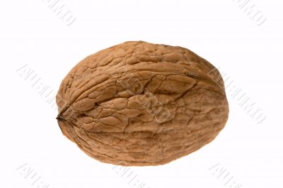 Horizontal walnut