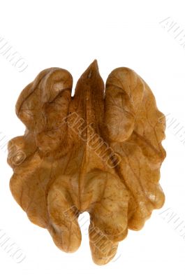 Kernel of walnut