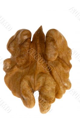 Kernel of walnut Kernel of walnut