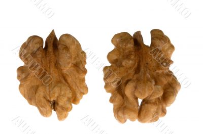 Two kernels of walnut