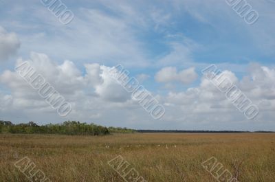 Everglades Everglades