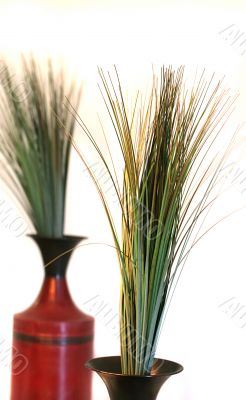 Grass in Jugs