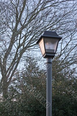 Lamp post in winter