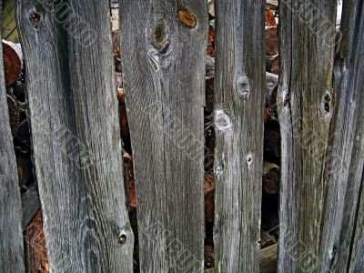 Background - old grey fence boards.